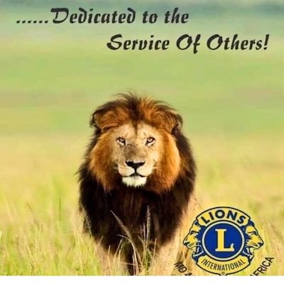 Dedicated Lion