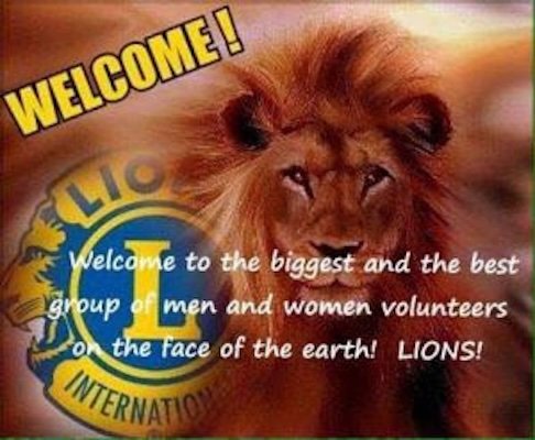 Lions Pic 1